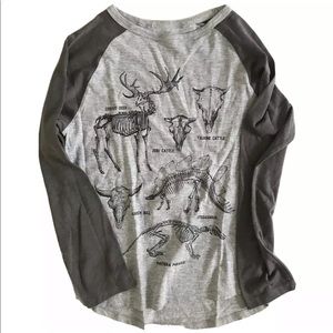 H&M Boys Animal Graphic Raglan Tee, Gray Size S